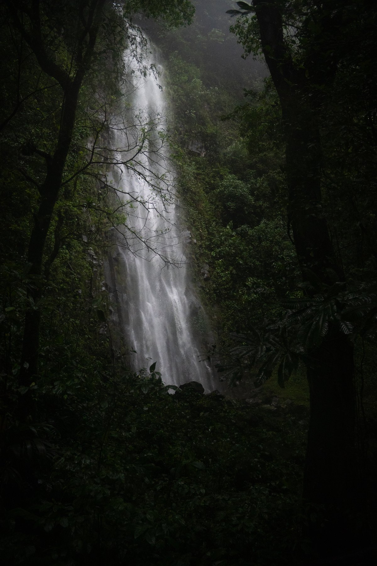 Personal vertical photograph 9