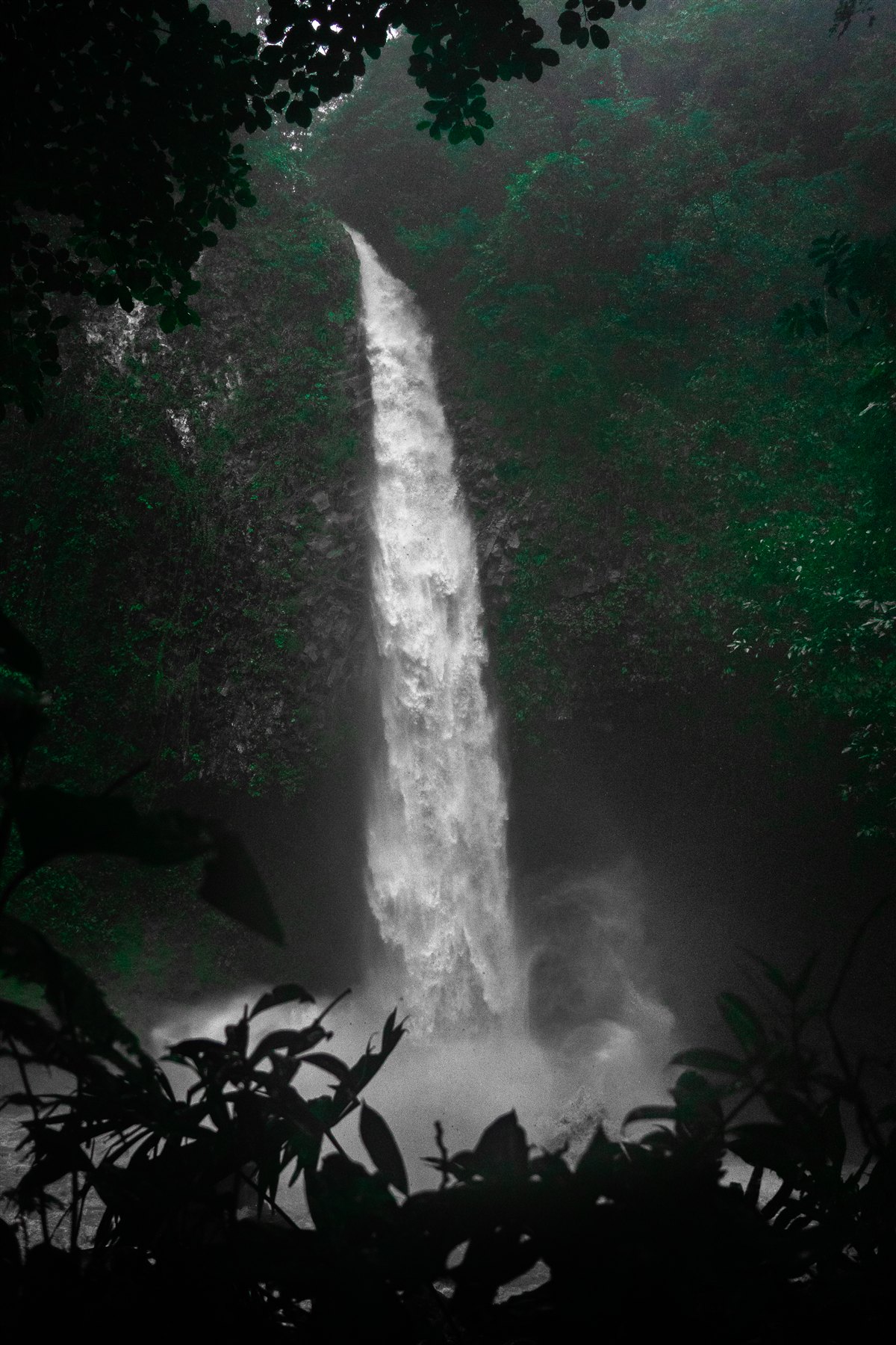 Personal vertical photograph 11
