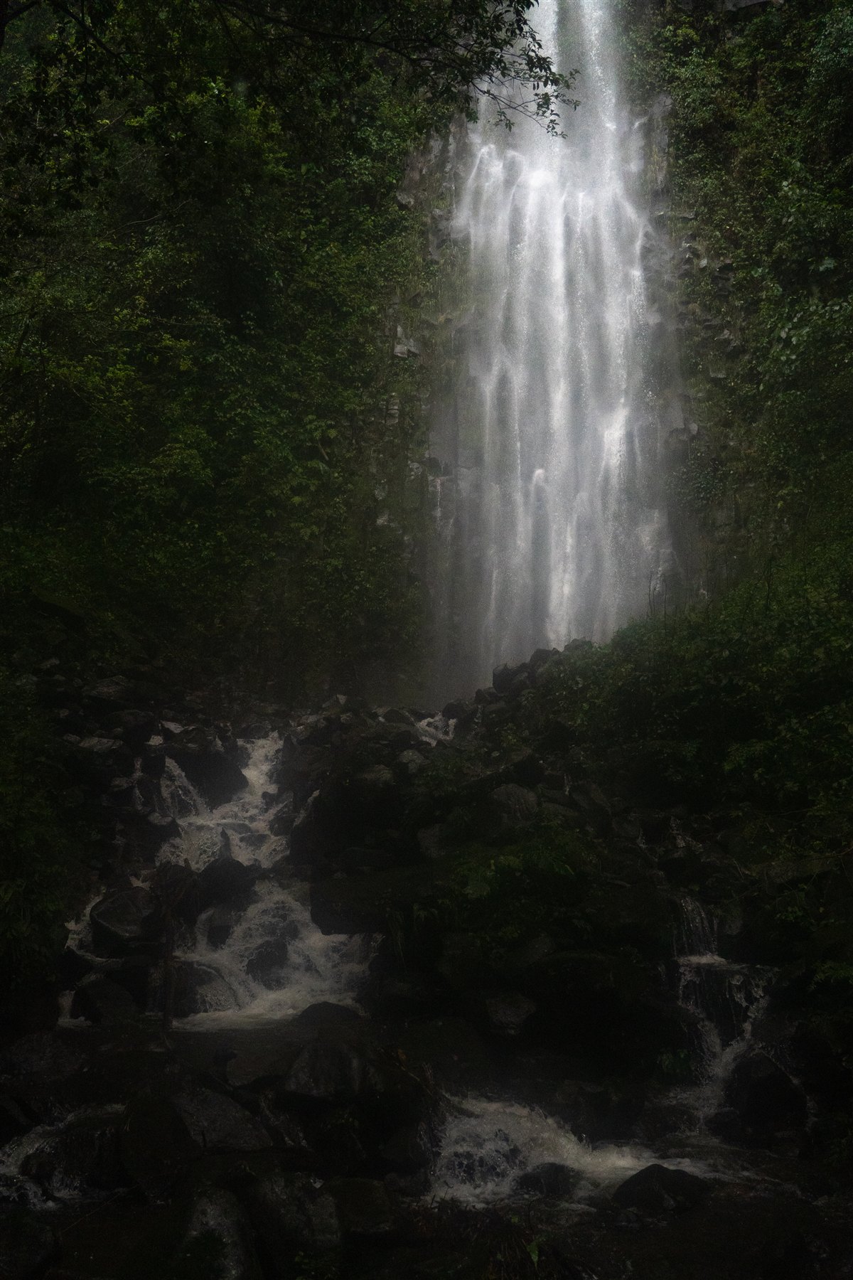 Personal vertical photograph 6