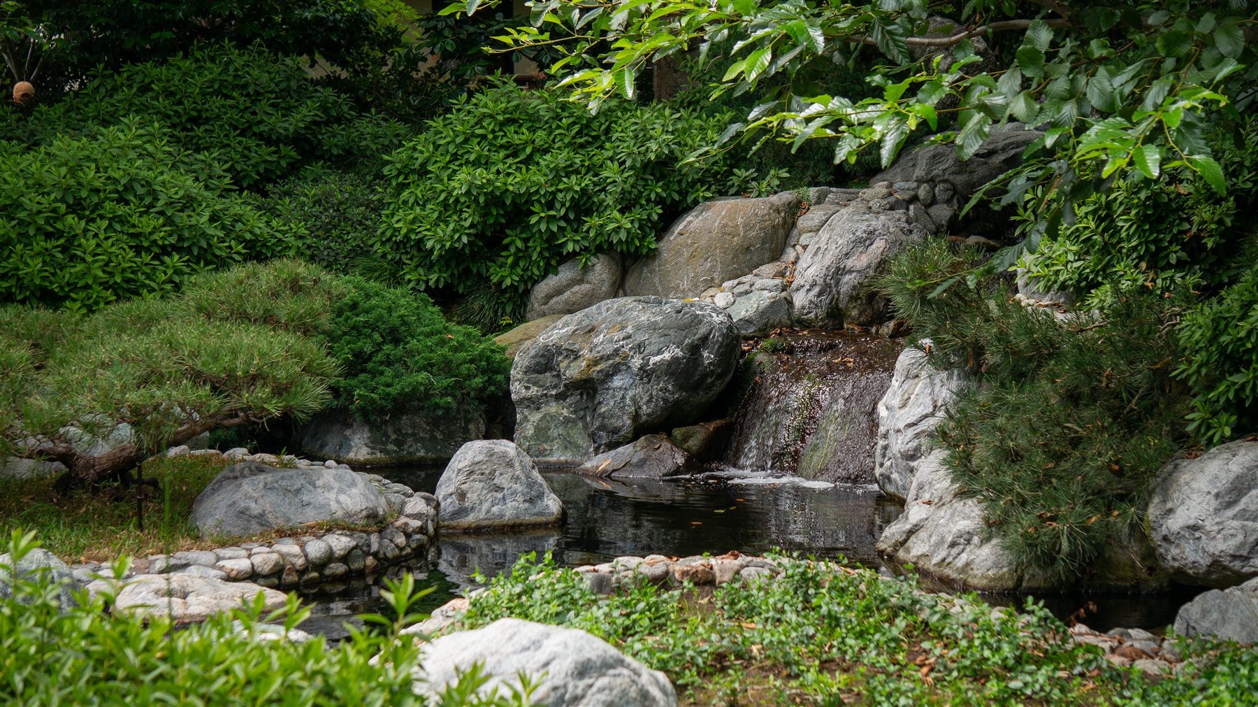 Personal 16:9 photograph 3