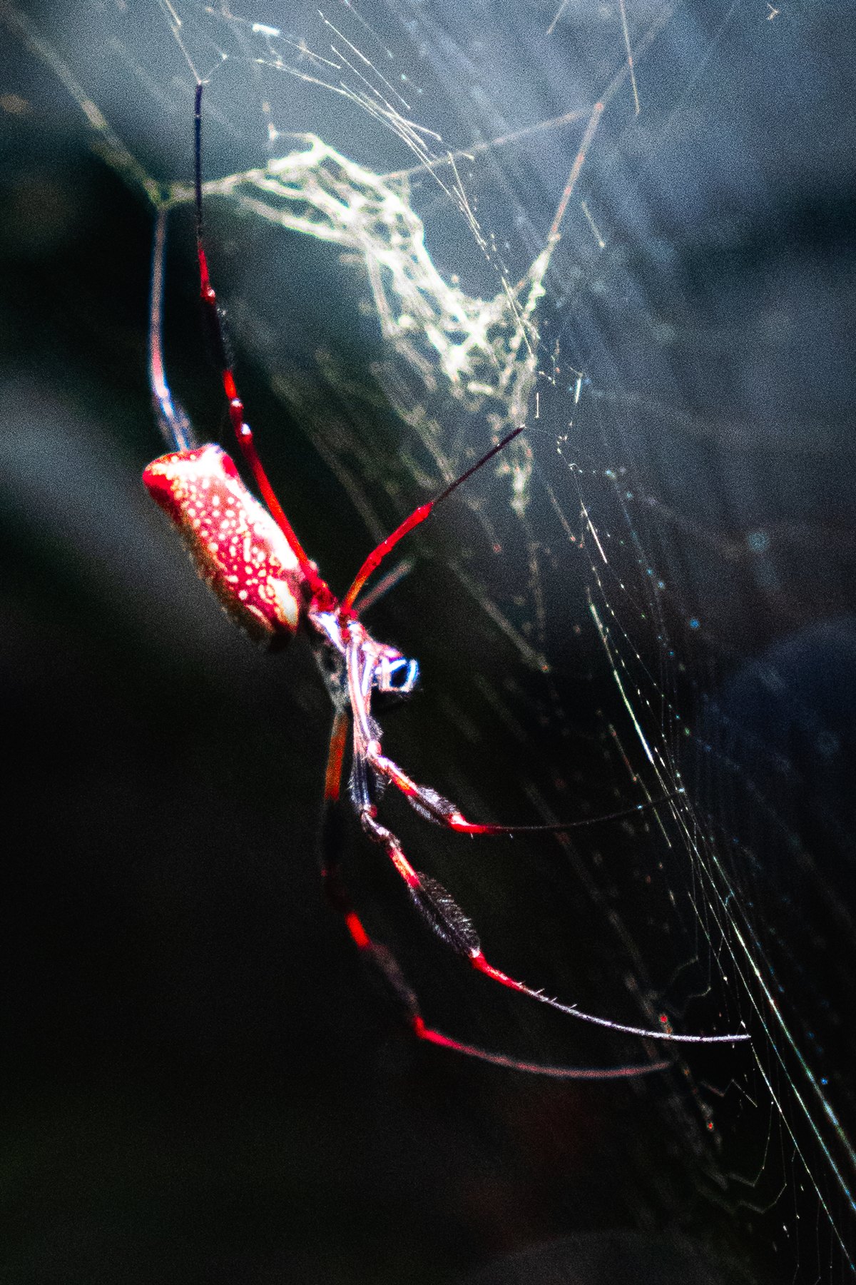 Personal vertical photograph 2
